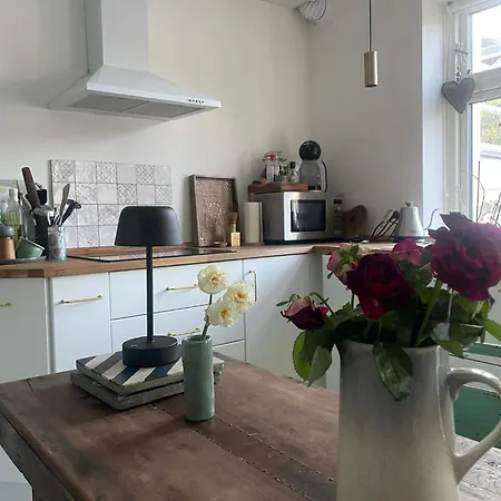 Townhouse With Two Cuddly Cats In The Center Of Elsingore Close To And Hamlets Castle 公寓 赫尔辛格