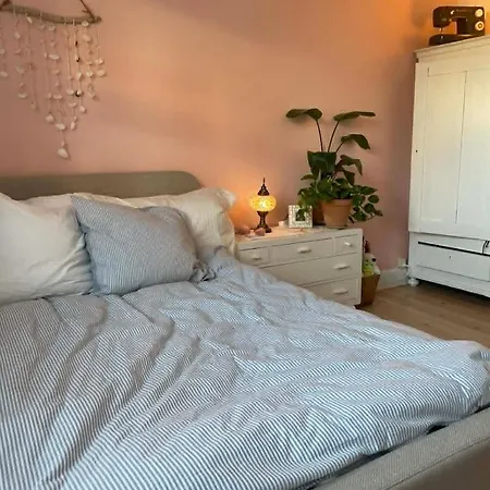 Townhouse With Two Cuddly Cats In The Center Of Elsingore Close To And Hamlets Castle Apartmán