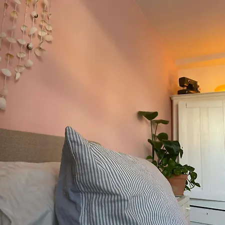 Townhouse With Two Cuddly Cats In The Center Of Elsingore Close To And Hamlets Castle